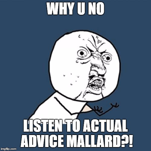 Y U No Meme | WHY U NO; LISTEN TO ACTUAL ADVICE MALLARD?! | image tagged in memes,y u no | made w/ Imgflip meme maker