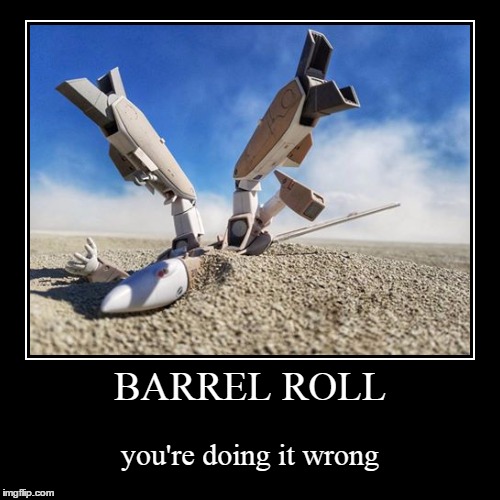 Do a Barrel Roll  Barrel roll, Youre doing it wrong, Funny meme pictures