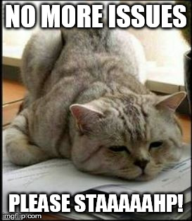 seriously stop | NO MORE ISSUES; PLEASE STAAAAAHP! | image tagged in seriously stop | made w/ Imgflip meme maker