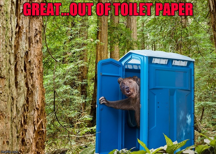 GREAT...OUT OF TOILET PAPER | made w/ Imgflip meme maker