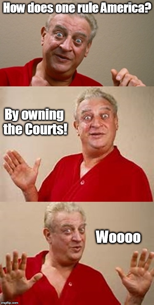 bad pun Dangerfield  | How does one rule America? By owning the Courts! Woooo | image tagged in bad pun dangerfield | made w/ Imgflip meme maker