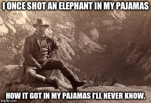 I ONCE SHOT AN ELEPHANT IN MY PAJAMAS; HOW IT GOT IN MY PAJAMAS I'LL NEVER KNOW. | image tagged in hunting | made w/ Imgflip meme maker