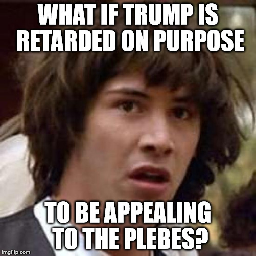 Conspiracy Keanu Meme | WHAT IF TRUMP IS RETARDED ON PURPOSE TO BE APPEALING TO THE PLEBES? | image tagged in memes,conspiracy keanu | made w/ Imgflip meme maker