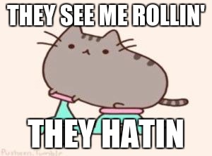 pusheen on a bike | THEY SEE ME ROLLIN'; THEY HATIN | image tagged in pusheen on a bike | made w/ Imgflip meme maker