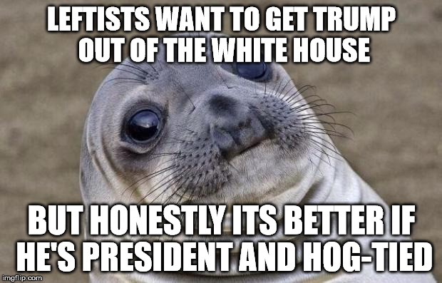Awkward Moment Sealion Meme | LEFTISTS WANT TO GET TRUMP OUT OF THE WHITE HOUSE BUT HONESTLY ITS BETTER IF HE'S PRESIDENT AND HOG-TIED | image tagged in memes,awkward moment sealion | made w/ Imgflip meme maker