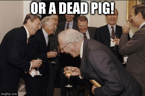 Laughing Men In Suits Meme | OR A DEAD PIG! | image tagged in memes,laughing men in suits | made w/ Imgflip meme maker