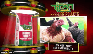 image tagged in gifs | made w/ Imgflip images-to-gif maker