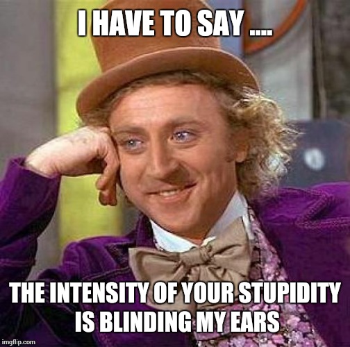 Creepy Condescending Wonka Meme | I HAVE TO SAY .... THE INTENSITY OF YOUR STUPIDITY IS BLINDING MY EARS | image tagged in memes,creepy condescending wonka | made w/ Imgflip meme maker