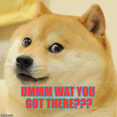 Doge Meme | UMMM WAT YOU GOT THERE??? | image tagged in memes,doge | made w/ Imgflip meme maker