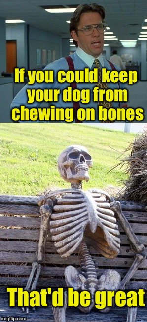 Never trust a dog to guard a skeleton  | If you could keep your dog from chewing on bones; That'd be great | image tagged in that would be great,skeleton waiting | made w/ Imgflip meme maker