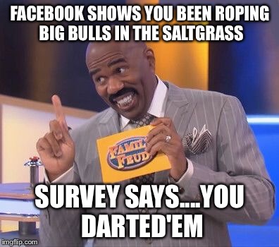 Survey says you're a Cunt! | FACEBOOK SHOWS YOU BEEN ROPING BIG BULLS IN THE SALTGRASS; SURVEY SAYS....YOU DARTED'EM | image tagged in survey says you're a cunt | made w/ Imgflip meme maker