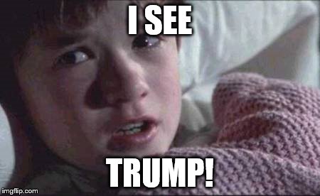 I See Dead People | I SEE; TRUMP! | image tagged in memes,i see dead people | made w/ Imgflip meme maker