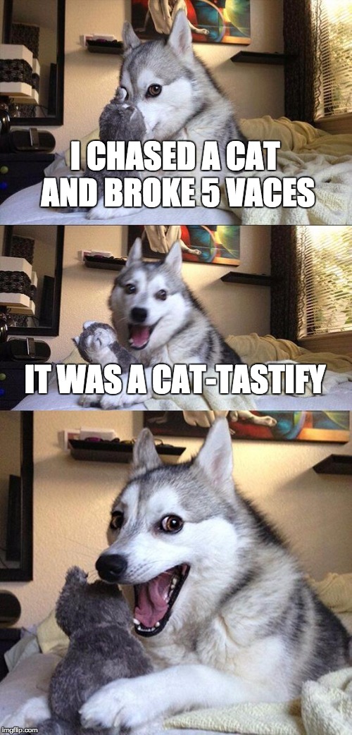 Bad Pun Dog Meme | I CHASED A CAT AND BROKE 5 VACES; IT WAS A CAT-TASTIFY | image tagged in memes,bad pun dog | made w/ Imgflip meme maker