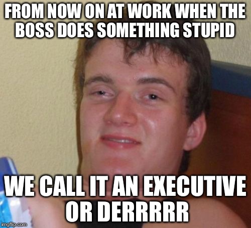 10 Guy Meme | FROM NOW ON AT WORK WHEN THE BOSS DOES SOMETHING STUPID; WE CALL IT AN EXECUTIVE OR DERRRRR | image tagged in memes,10 guy | made w/ Imgflip meme maker