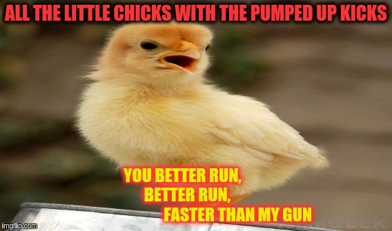 The Crazy Chick | ALL THE LITTLE CHICKS WITH THE PUMPED UP KICKS; YOU BETTER RUN,                         BETTER RUN,                                           FASTER THAN MY GUN | image tagged in memes | made w/ Imgflip meme maker