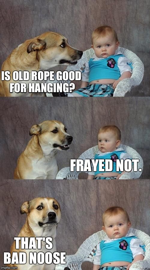 Dad Joke Dog Meme | IS OLD ROPE GOOD FOR HANGING? FRAYED NOT. THAT'S BAD NOOSE | image tagged in memes,dad joke dog | made w/ Imgflip meme maker