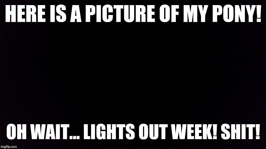 My contribution to Lights Out week! (A fellow brony Octavia_Melody event) | HERE IS A PICTURE OF MY PONY! OH WAIT... LIGHTS OUT WEEK! SHIT! | image tagged in memes,custom template,ponies,lights out week,octavia_melody | made w/ Imgflip meme maker