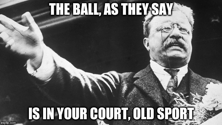 your turn | THE BALL, AS THEY SAY; IS IN YOUR COURT, OLD SPORT | image tagged in reply | made w/ Imgflip meme maker