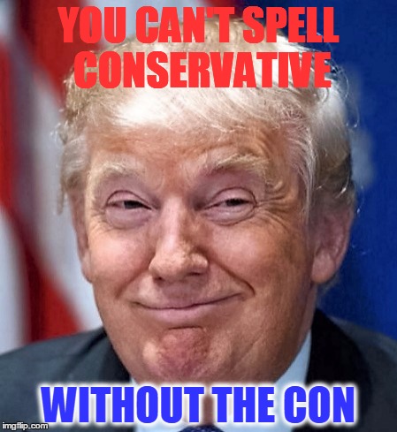 YOU CAN'T SPELL CONSERVATIVE; WITHOUT THE CON | image tagged in donald trump | made w/ Imgflip meme maker