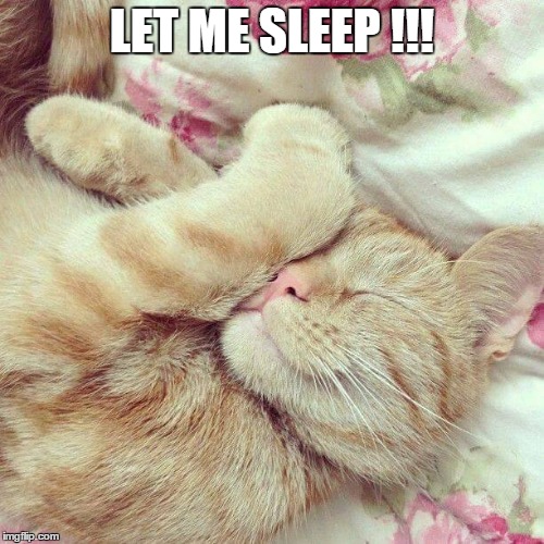LET ME SLEEP !!! | image tagged in sleep | made w/ Imgflip meme maker