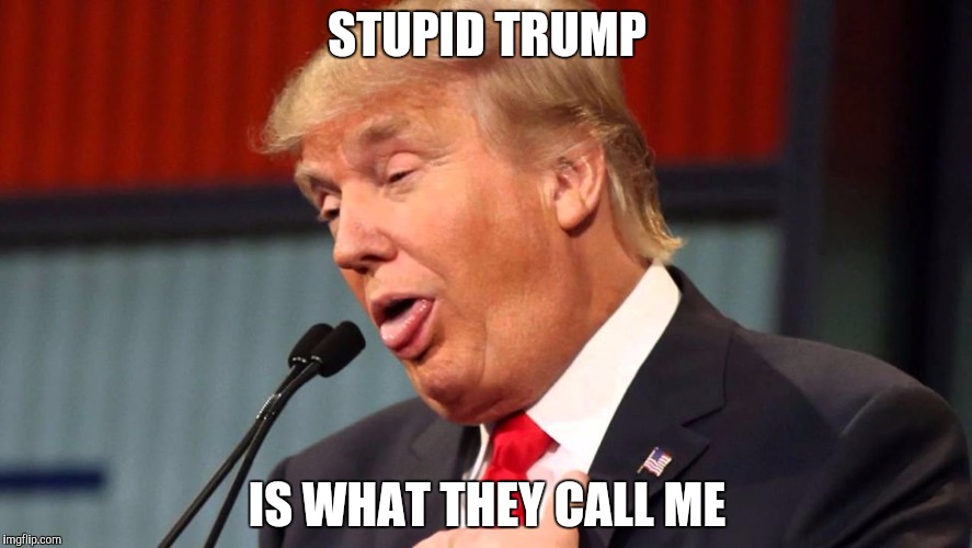 Stupid trump | STUPID TRUMP; IS WHAT THEY CALL ME | image tagged in stupid trump | made w/ Imgflip meme maker