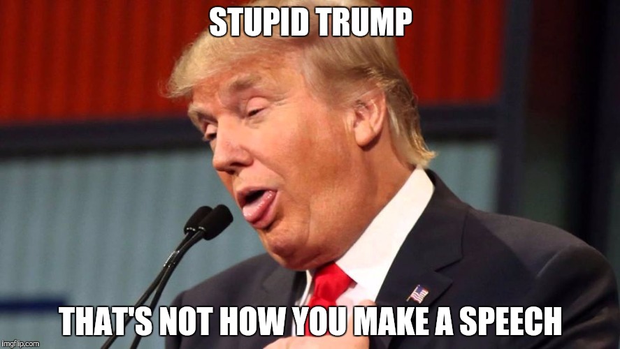 Stupid trump | STUPID TRUMP; THAT'S NOT HOW YOU MAKE A SPEECH | image tagged in stupid trump | made w/ Imgflip meme maker
