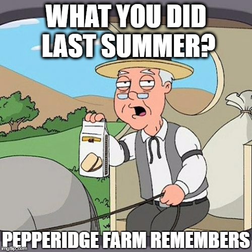 Pepperidge Farm Remembers Meme | WHAT YOU DID LAST SUMMER? PEPPERIDGE FARM REMEMBERS | image tagged in memes,pepperidge farm remembers | made w/ Imgflip meme maker