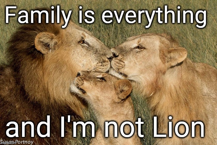 Family pride  | Family is everything; and I'm not Lion | image tagged in family life | made w/ Imgflip meme maker
