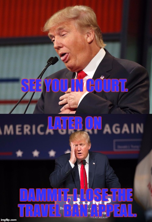 See you in court | SEE YOU IN COURT. LATER ON; DAMMIT, I LOSE THE TRAVEL BAN APPEAL. | image tagged in memes,funny memes,facepalm,well this is awkward | made w/ Imgflip meme maker