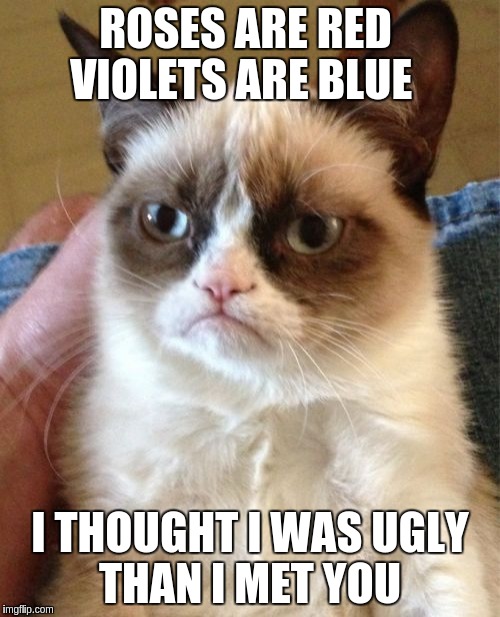 Grumpy Cat | ROSES ARE RED  VIOLETS ARE BLUE; I THOUGHT I WAS UGLY  THAN I MET YOU | image tagged in memes,grumpy cat | made w/ Imgflip meme maker