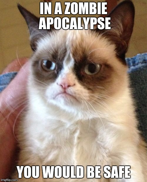 Grumpy Cat | IN A ZOMBIE APOCALYPSE; YOU WOULD BE SAFE | image tagged in memes,grumpy cat | made w/ Imgflip meme maker