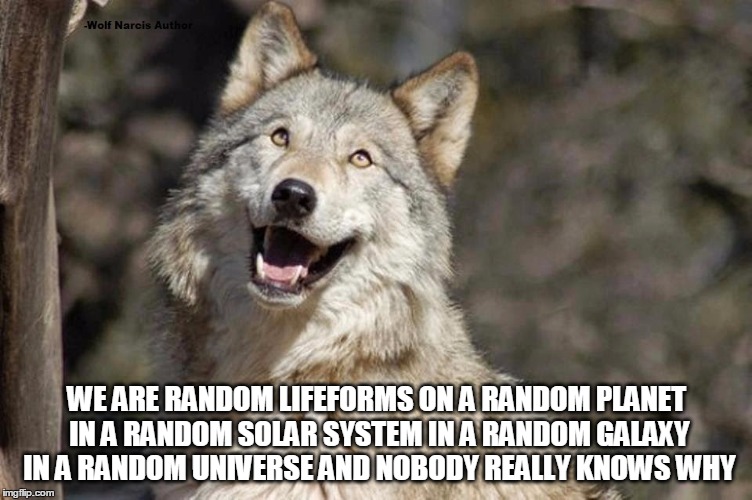 Optimistic Moon Moon Wolf Vanadium Wolf | WE ARE RANDOM LIFEFORMS ON A RANDOM PLANET IN A RANDOM SOLAR SYSTEM IN A RANDOM GALAXY IN A RANDOM UNIVERSE AND NOBODY REALLY KNOWS WHY | image tagged in optimistic moon moon wolf vanadium wolf | made w/ Imgflip meme maker