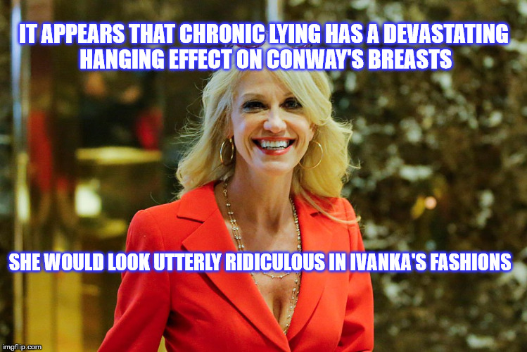 Conway's  Cleavage Canyon   | IT APPEARS THAT CHRONIC LYING HAS A DEVASTATING HANGING EFFECT ON CONWAY'S BREASTS; SHE WOULD LOOK UTTERLY RIDICULOUS IN IVANKA'S FASHIONS | image tagged in kellyanne conway,ivanka trump | made w/ Imgflip meme maker