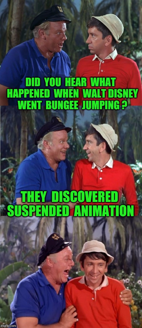 Gilligan Bad Pun | DID  YOU  HEAR  WHAT  HAPPENED  WHEN  WALT DISNEY  WENT  BUNGEE  JUMPING ? THEY  DISCOVERED  SUSPENDED  ANIMATION | image tagged in gilligan bad pun,disney,waltdisney | made w/ Imgflip meme maker