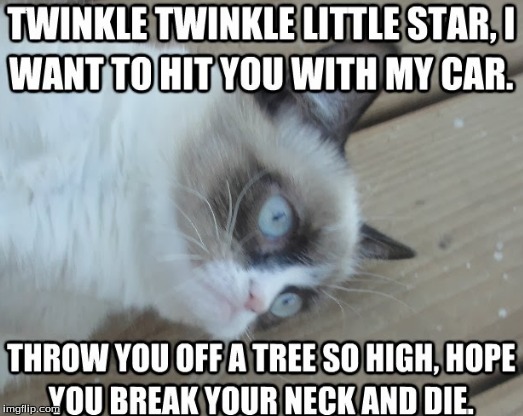 grumpy cat "likes" to sing | image tagged in tartar sauce is the real name | made w/ Imgflip meme maker