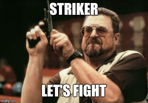 Am I The Only One Around Here Meme | STRIKER; LET'S FIGHT | image tagged in memes,am i the only one around here | made w/ Imgflip meme maker