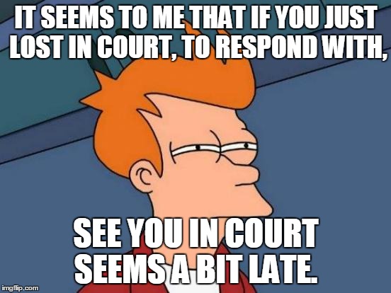 Futurama Fry | IT SEEMS TO ME THAT IF YOU JUST LOST IN COURT, TO RESPOND WITH, SEE YOU IN COURT SEEMS A BIT LATE. | image tagged in memes,futurama fry | made w/ Imgflip meme maker