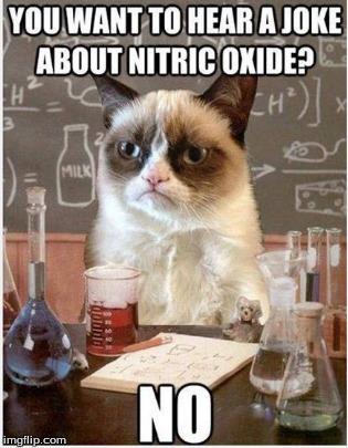 chemistry cat's substitute | image tagged in chemistry rules | made w/ Imgflip meme maker