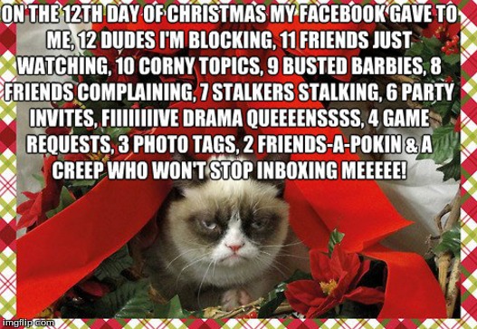 image tagged in grumpy cat christmas | made w/ Imgflip meme maker