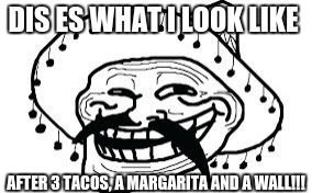 Mexicano troll face | DIS ES WHAT I LOOK LIKE; AFTER 3 TACOS, A MARGARITA AND A WALL!!! | image tagged in mexicano troll face | made w/ Imgflip meme maker