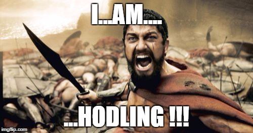 I...AM..HODLING | I...AM.... ...HODLING !!! | image tagged in memes,sparta leonidas | made w/ Imgflip meme maker