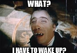 dracula | WHAT? I HAVE TO WAKE UP? | image tagged in dracula | made w/ Imgflip meme maker