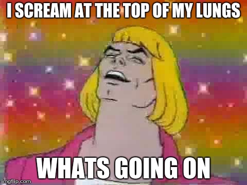 He man | I SCREAM AT THE TOP OF MY LUNGS; WHATS GOING ON | image tagged in he man | made w/ Imgflip meme maker