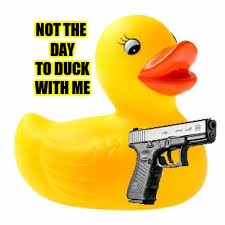 Speak to the Beak! | NOT THE DAY TO DUCK WITH ME | image tagged in rubber ducky glock,guns out,funny memes,will kill you | made w/ Imgflip meme maker