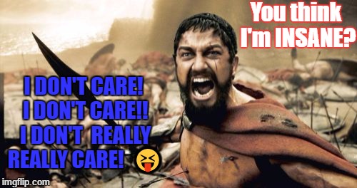 Sparta Leonidas | You think I'm INSANE? I DON'T CARE! I DON'T CARE!! I DON'T  REALLY REALLY CARE!  😝 | image tagged in memes,sparta leonidas | made w/ Imgflip meme maker