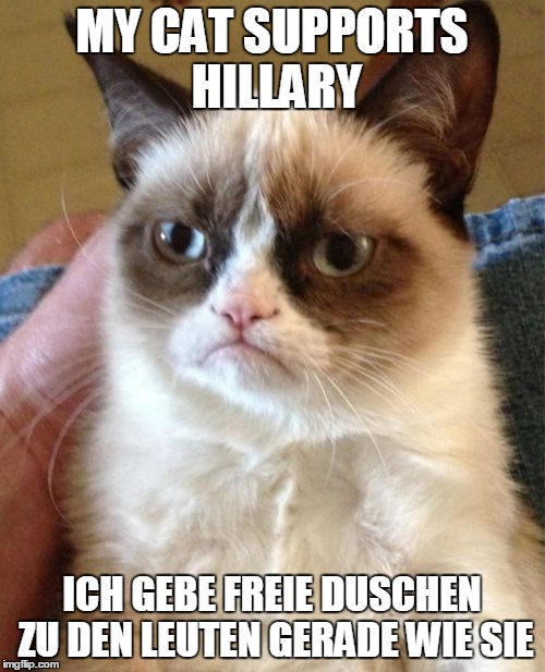 Bad political meme | MY CAT SUPPORTS HILLARY; ICH GEBE FREIE DUSCHEN ZU DEN LEUTEN GERADE WIE SIE | image tagged in memes,grumpy cat | made w/ Imgflip meme maker