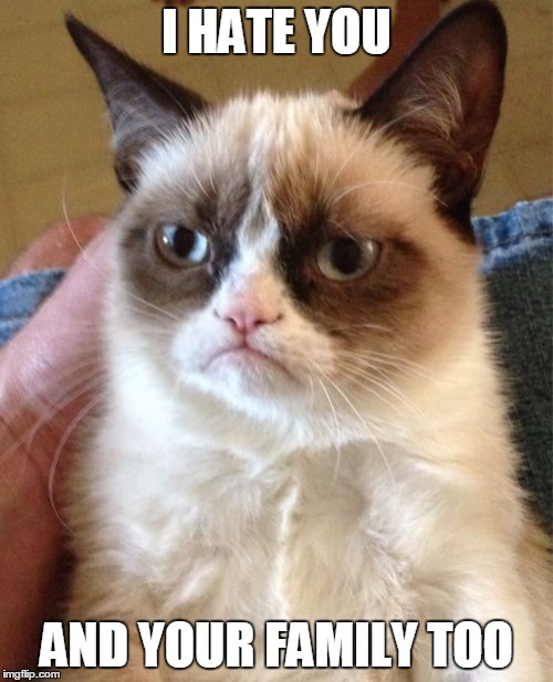 Grumpy Cat Meme | I HATE YOU; AND YOUR FAMILY TOO | image tagged in memes,grumpy cat | made w/ Imgflip meme maker