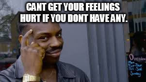 CANT GET YOUR FEELINGS HURT IF YOU DONT HAVE ANY. | image tagged in life,hurt feelings | made w/ Imgflip meme maker