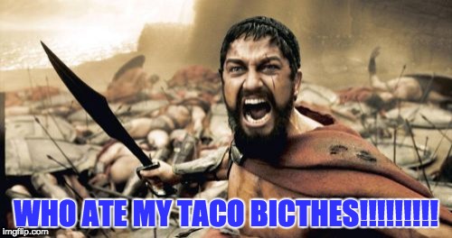 Sparta Leonidas | WHO ATE MY TACO BICTHES!!!!!!!!! | image tagged in memes,sparta leonidas | made w/ Imgflip meme maker