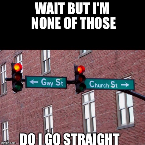 Path | WAIT BUT I'M NONE OF THOSE; DO I GO STRAIGHT | image tagged in memes | made w/ Imgflip meme maker